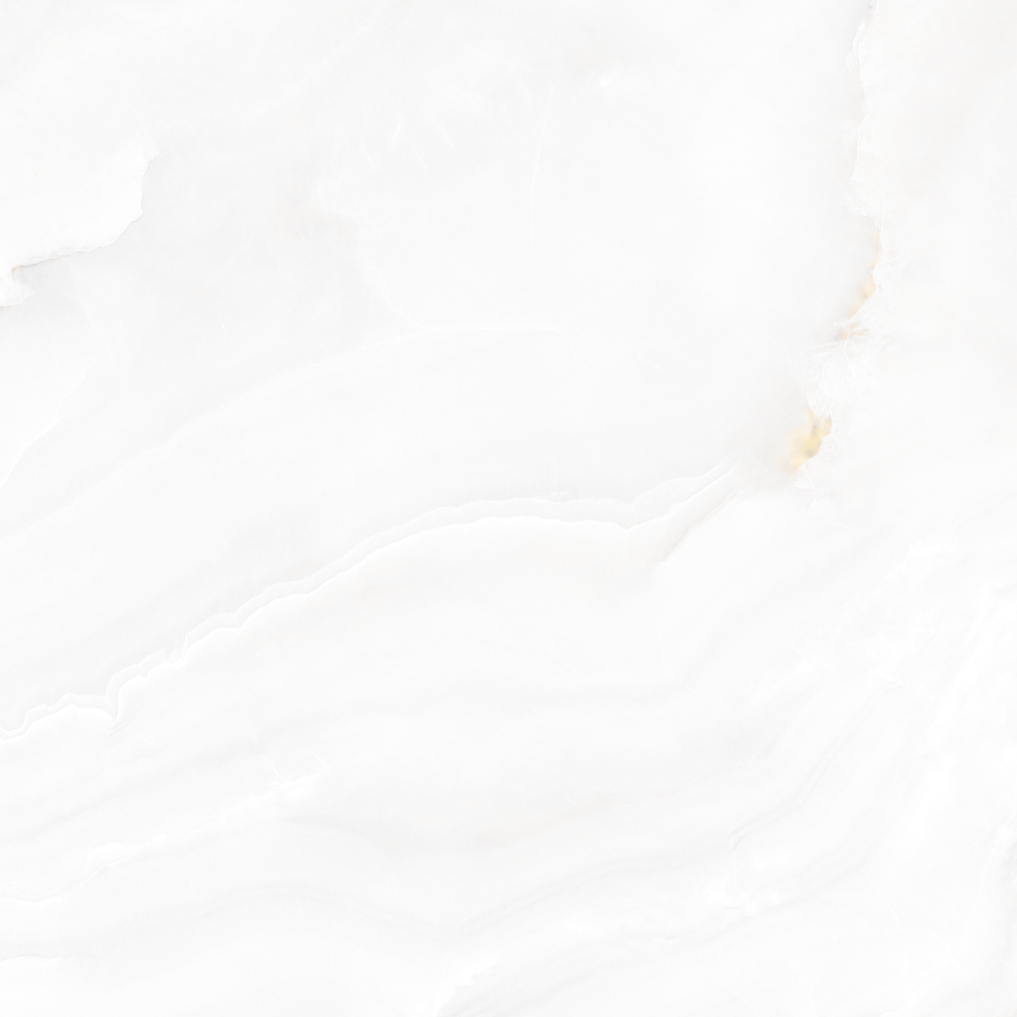 banner-1